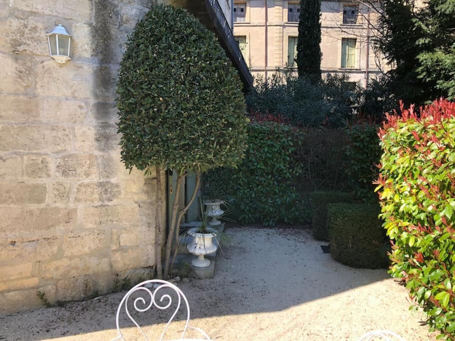 Ulysse, Appartement Spacieux Au Centre Historique D'Uzes En Rez-De-Chaussee Avec Exterieur, Proche Parking Des Marroniers エクステリア 写真