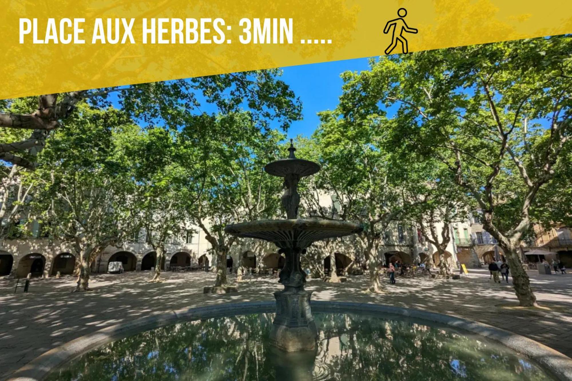 Ulysse, Appartement Spacieux Au Centre Historique D'Uzes En Rez-De-Chaussee Avec Exterieur, Proche Parking Des Marroniers エクステリア 写真